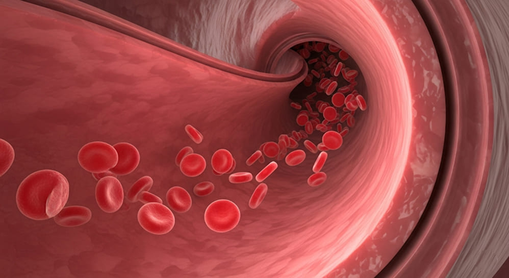 An abstract, photorealistic render of healthy, smooth blood vessels with red blood cells flowing through them, representing a clean lipid profile.