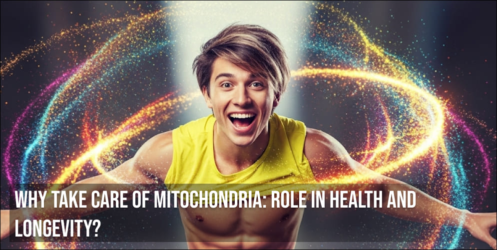 Why take care of Mitochondria Role in Health and Longevity