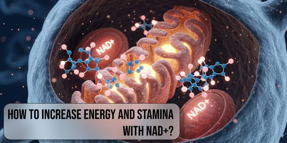 How to Increase Energy and Stamina with NAD+?