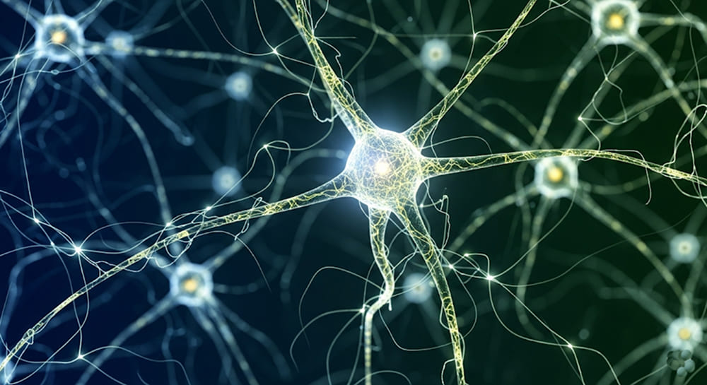 Interconnected brain neurons with glowing pathways, representing neural health.