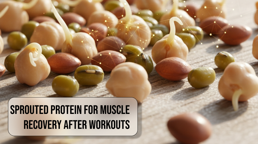 Sprouted Protein for Muscle Recovery After Workouts