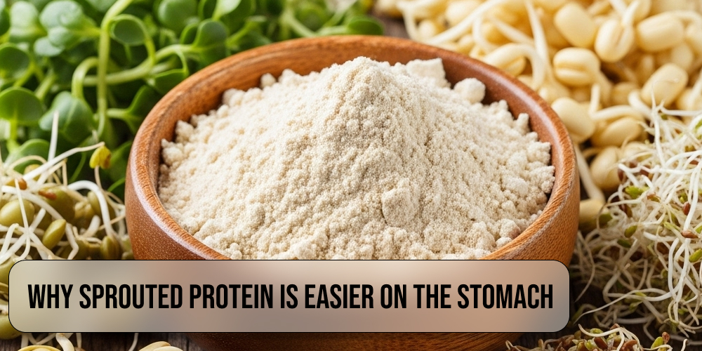 Why Sprouted Protein is Easier on the Stomach