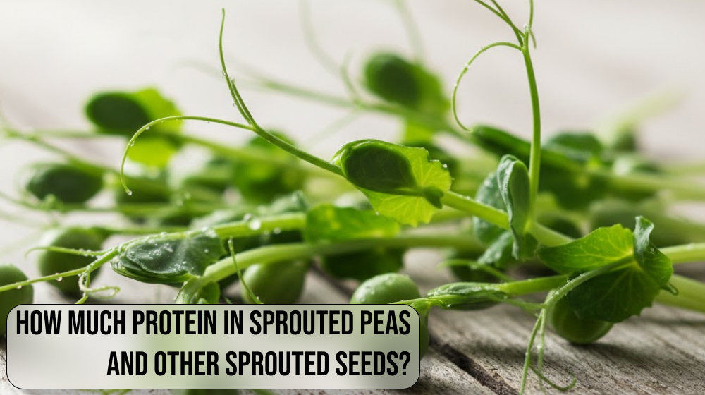 How much protein in sprouted peas and other sprouted seeds?