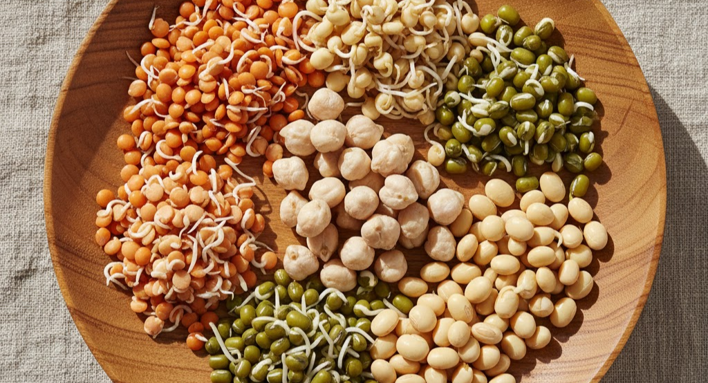 Plate of assorted sprouted legumes.