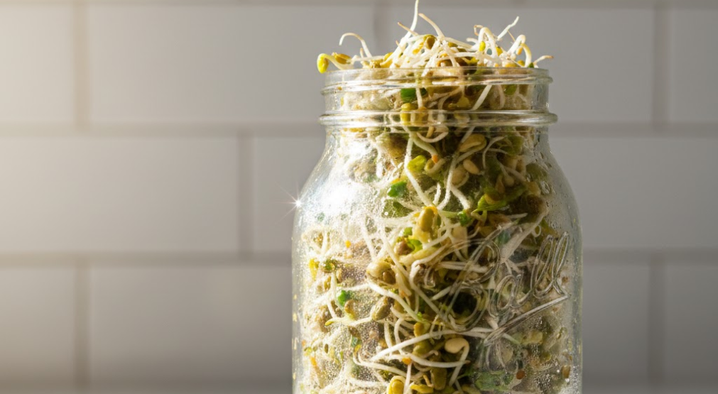 Sprouted seeds stored in a rustic glass jar on a windowsill.