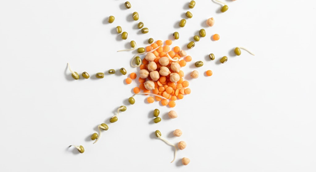 Sprouted seeds representing improved metabolic energy and nutrient use