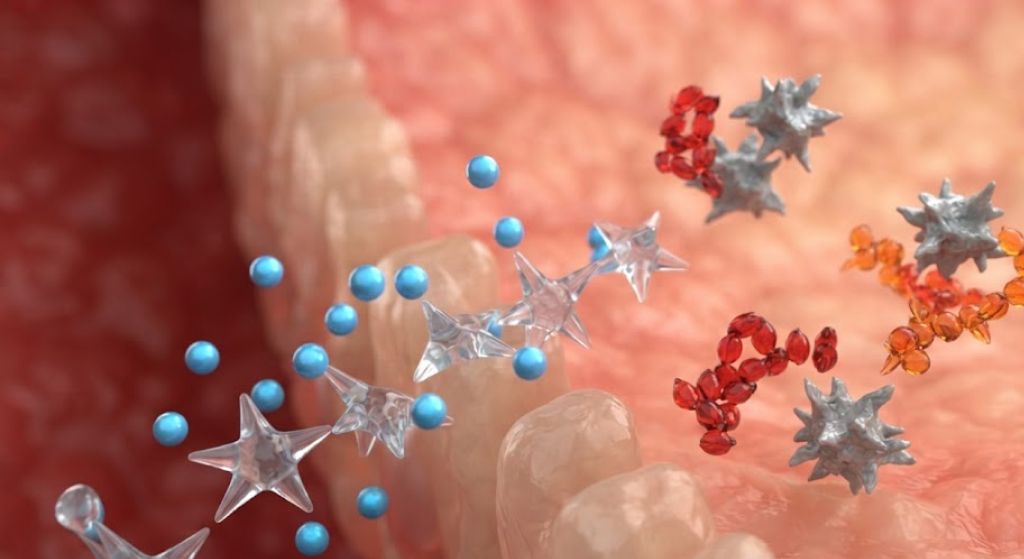 Illustrative macro shot of zinc, vitamin A, and carotenoids neutralizing free radicals at the cellular barrier
