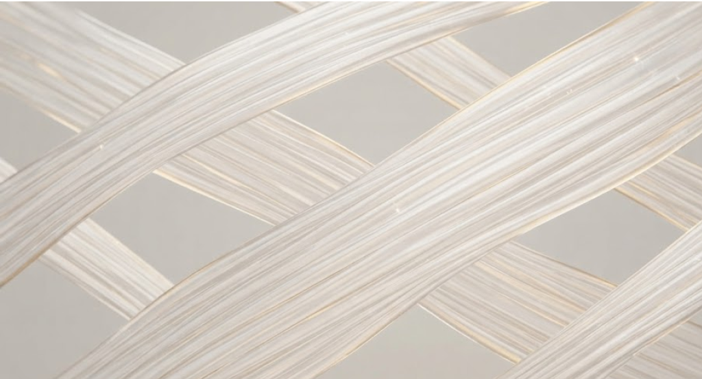 Microscopic view of strong and elastic collagen fibers