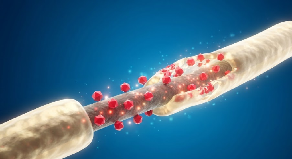 3D rendering of nerve axon repair by Vitamin B12