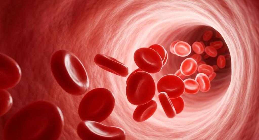 A hyperrealistic internal perspective photography looking through a clean, healthy human artery with smooth blood flow.
